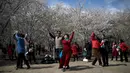 Pengunjung menikmati tarian sosial dekat bunga sakura selama festival musim semi di Taman Yuyuantan, Beijing, China, Sabtu (30/3). (AP Photo/Andy Wong)