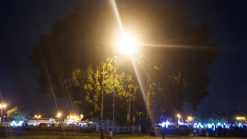 [Bintang] Alun-Alun Kidul, Yogyakarta