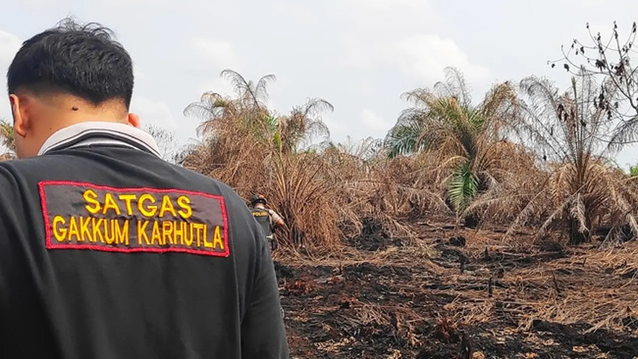 Satgas Karhutla Riau melakukan olah tempat kejadian perkara di lokasi kebakaran lahan.
