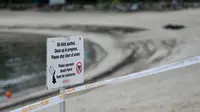 Pantai Siloso di Singapura termasuk kawasan terdampak tumpahan minyak dari kapal kargo. (dok. ROSLAN RAHMAN / AFP)