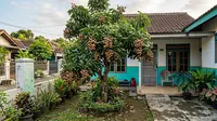 Kelengkeng Berbuah tapi Rasanya Kurang Manis? Ini Cara Merawat Pohon agar Hasilnya Lebih Baik