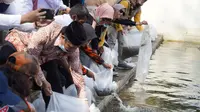 Pecahkan Rekor Muri, Polda Jabar Tebar 7,6 Juta Bibit Ikan di Situ Bagendit