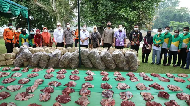 Sapi Jokowi
