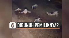 Puluhan bangkai kucing ditemukan di jalanan kota Banjarmasin. Kasus ini langsung ditangani polisi karena ada dugaan kucing-kucing tersebut sengaja dibunuh pemiliknya.
