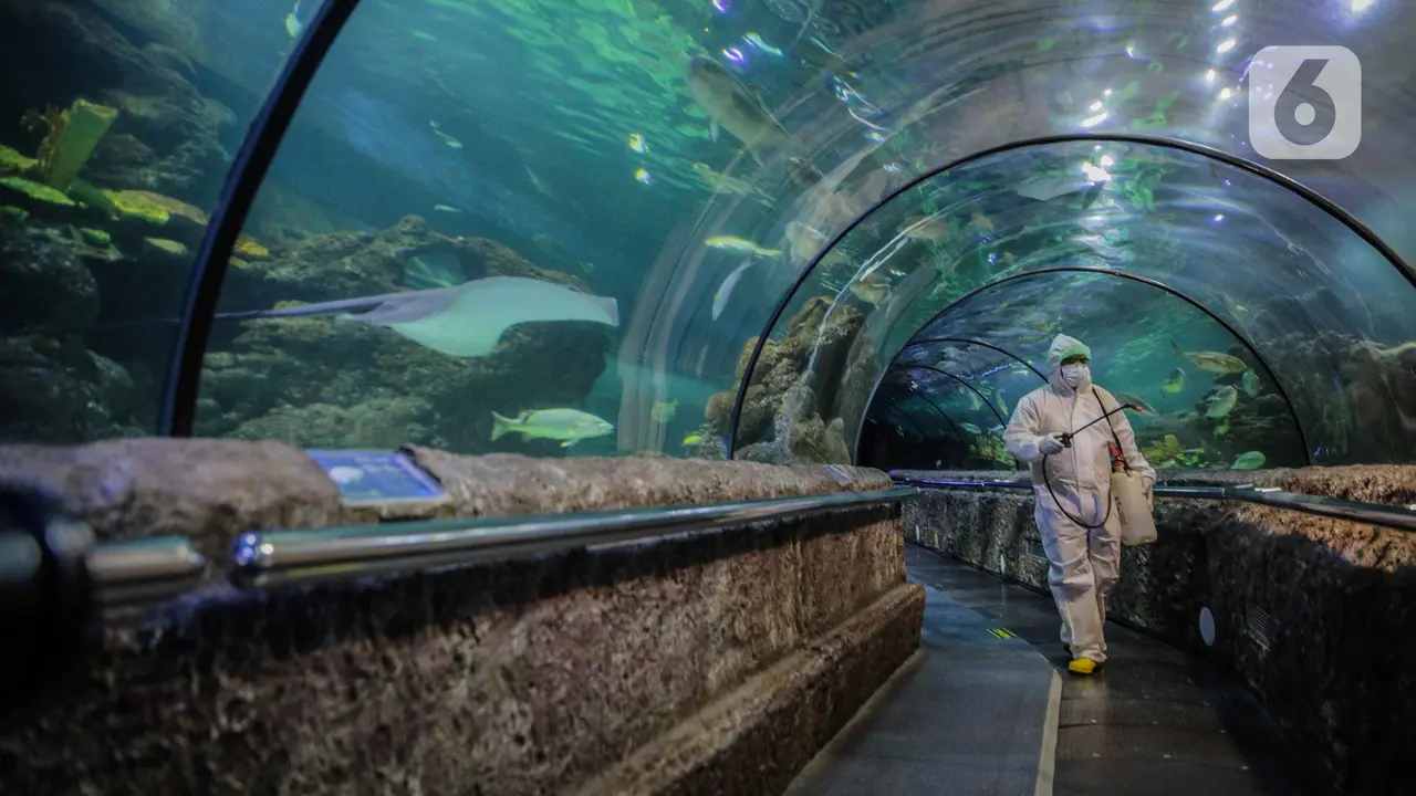 Sea World dan Ocean Samudera Disemprot Disinfektan Antisipasi COVID-19
