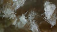 Hazenite, salah satu mineral langka yang berhasil ditemukan di Bumi (sumber: techtimes.com)