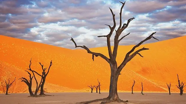 Namid Naukluft Park, Namibia
