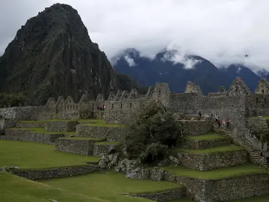 Para pengunjung tampak berjalan menaiki tangga di benteng Inca Machu Picchu , Peru, Rabu (12/8/2015). Machu Picchu merupakan situs warisan dunia UNESCO dan merupakan objek wisata unggulan di Peru. (REUTERS/Pilar Olivares)