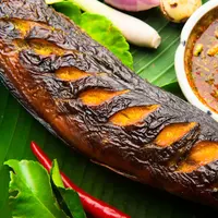 ilustrasi lele bakar/copyright by Chanelio (Shutterstock)