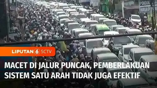 VIDEO: Bogor Macet Parah! Ribuan Kendaraan Tertahan di Jalur Cisarua-Puncak