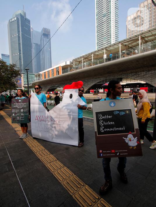 Penggunaan antibiotik sebenarnya tidak dilarang pada ayam pedaging, tetapi jika telah melalui masa waktu lebih dari 21 hari. Ayam yang telah mendapatkan antibiotik setelah tiga minggu akan bebas dari residu.  (Liputan6.com/Angga Yuniar)