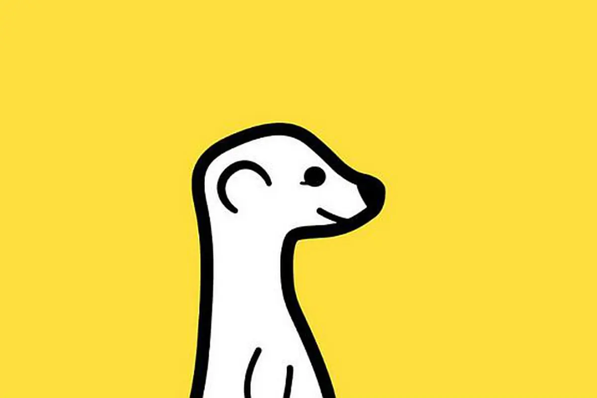 Aplikasi Live Streaming Meerkat Bantah Diakuisisi LG