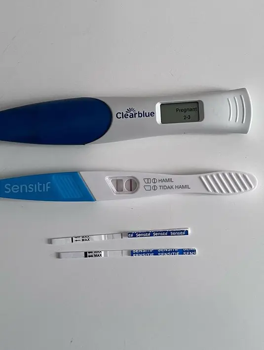 Sempat pasrah karena testpack lama bergerak hingga akhirnya dibuang ke tempat sampah. Sorenya, ia mengaku penasaran dan mengambil lagi.  Dan ternyata ada dua garis meski satunya masih samar. [Instagram/ryana_dea]