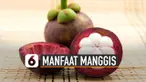 Buah manggis ternyata memiliki manfaat yang baik untuk tubuh. Salah satunya sumber antioksidan.