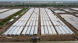Penggunaan metode ini memungkinkan produksi garam dilakukan sepanjang tahun. (Aditya Irawan/AFP)