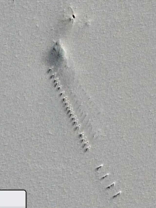 Ilustrasi di Antartika (Google Earth)