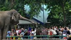 Sejumlah warga antusias melihat satwa gajah yang berada di Taman Margasatwa Ragunan (TMR), Jakarta, Kamis (25/12/2014). (Liputan6.com/Miftahul Hayat)