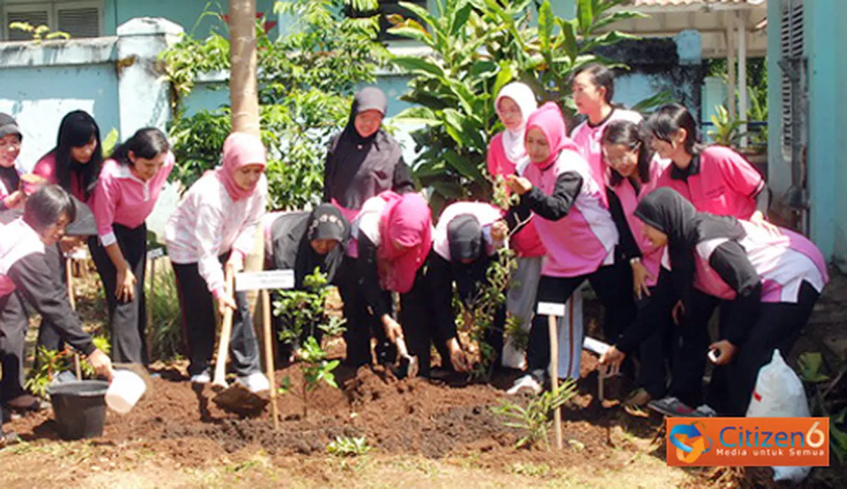 Citizen6, Subang: Ketua Persatuan Istri Anggota TNI AU Ardhya Garini (PIA AG) Cabang 5/D.I Lanud Suryadarma, Subang Heraldy Dumex Dharma didampingi para pengurus melakukan budidaya tanaman obat keluarga (toga). (Pengirim: Dodo)