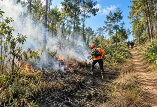 Karhutla Bromo Berjarak 3 Kilometer Dari Permukiman Warga, BPBD Lumajang Buat Sekat Api