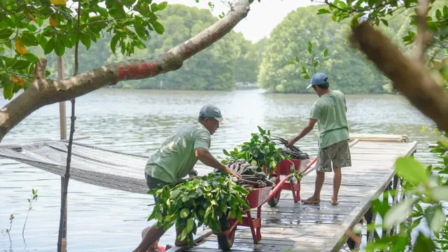 Menghijaukan Pesisir Pantai Ala BUMN