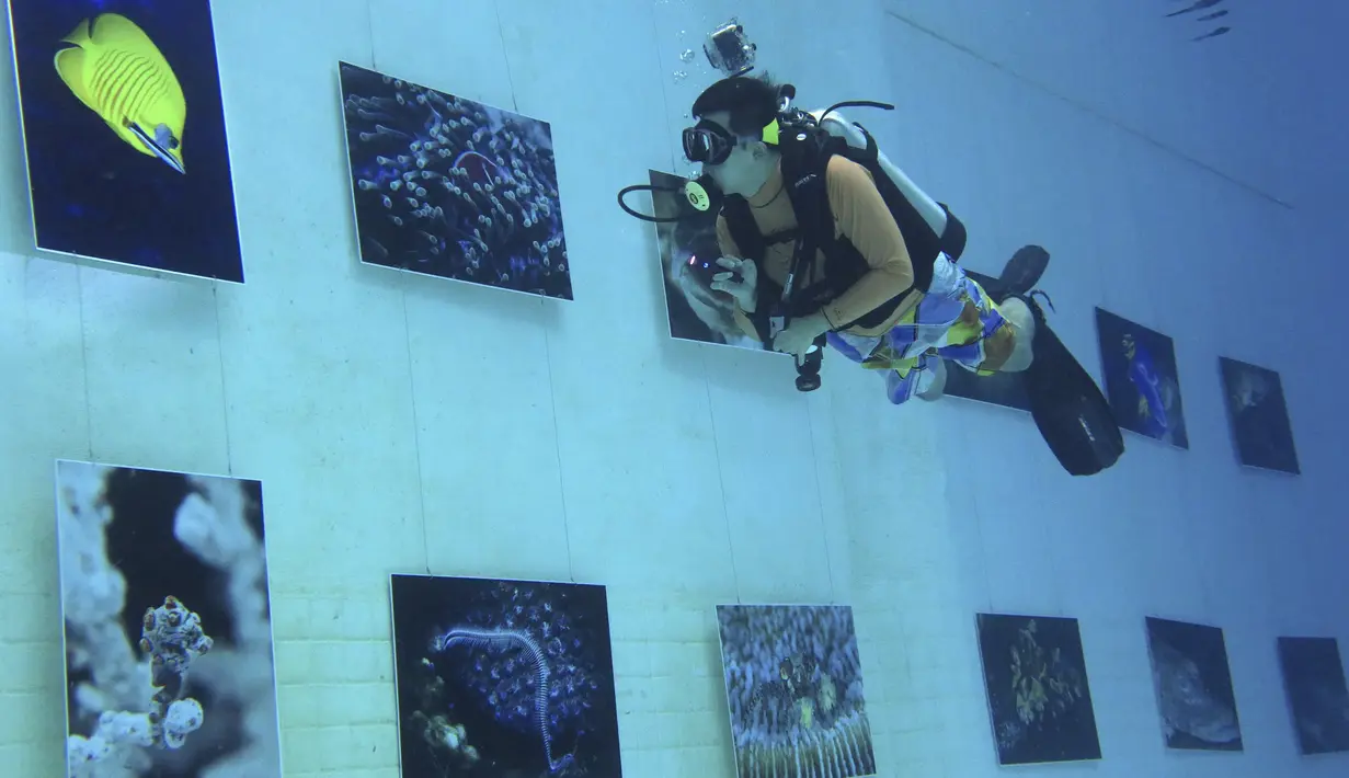 Penyelam melihat pameran foto yang dipamerkan dalam air di Inner Space Club, Beijing, China, Kamis (5/11). 40 karya foto bawah laut dipamerkan untuk memberikan pengalaman menyaksikan pameran foto yang tidak biasa kepada pengunjung (REUTERS/Kim Kyung-Hoon)