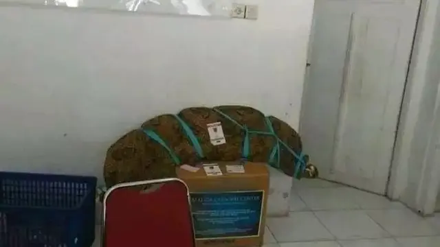 8 Potret Barang yang Dipaketkan Ini Anti-Mainstream, Bikin Geleng Kepala