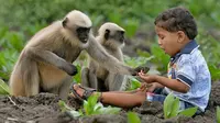 Samarth Bangari adalah bocah berusia 2 tahun yang akrab dengan monyet (AFP)