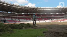 Pekerja melakukan pengerjaan revitalisasi rumput lapangan di Stadion Utama Gelora Bung Karno (SUGBK), Jakarta, Rabu (26/6/2024). (Liputan6.com/Herman Zakharia)