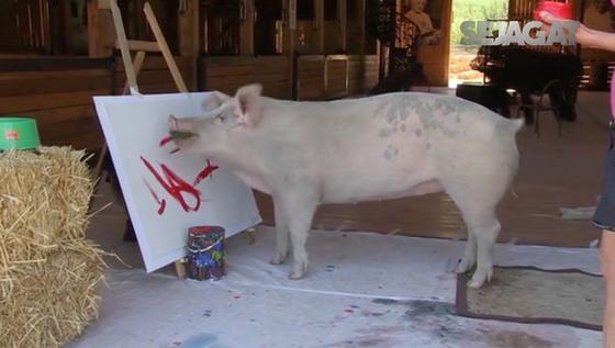 SEJAGAT: Insiden di Luar Gedung Capitol Hingga Babi yang Mahir Melukis