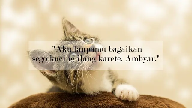 Kata-kata cinta lucu bahasa Jawa penuh makna (sumber: Pixabay)