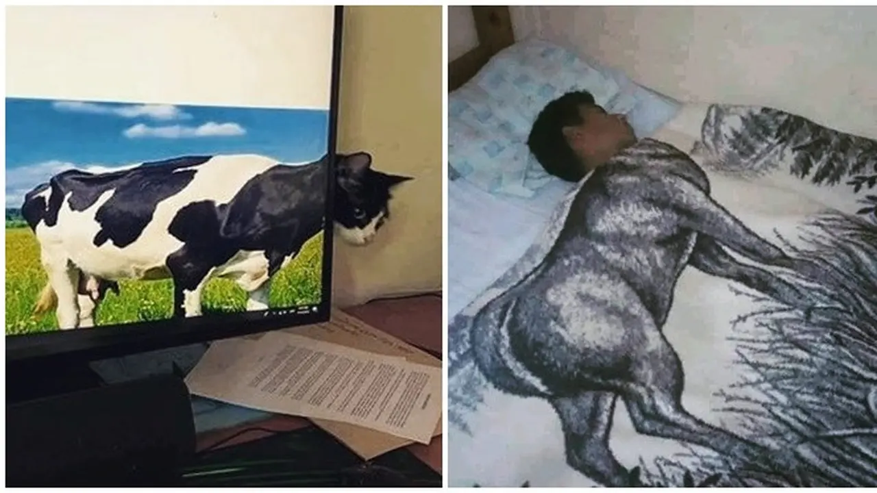 Gambar Nyeleneh Ini Bikin Orang Berfikir Dua Kali, Kocak Abis