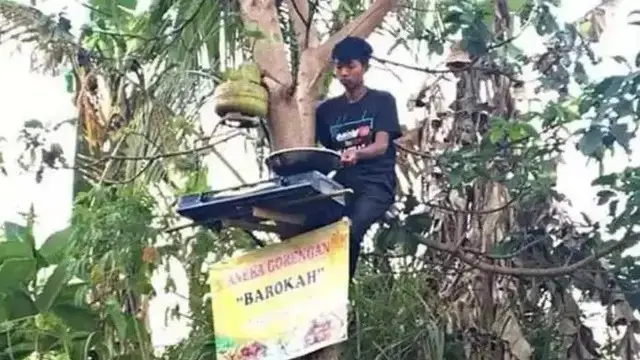 8 Potret Nyeleneh Orang di Atas Pohon, Ada yang Nyanyi Hingga Pacaran