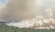 BNPB Ungkap Kebakaran Hutan Riau Terkini, 4 Titik Api Masih Terdeteksi