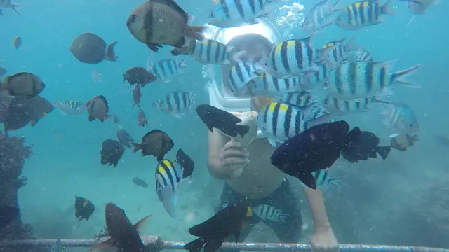 Bali Marine Walk.