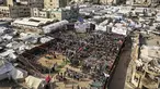 Orang-orang berkumpul selama perayaan pernikahan massal untuk para pengantin Palestina yang diselenggarakan oleh Yayasan Bantuan Kemanusiaan Turki (IHH) di Kota Gaza pada 11 Mei 2026. (Omar AL-QATTAA/AFP)
