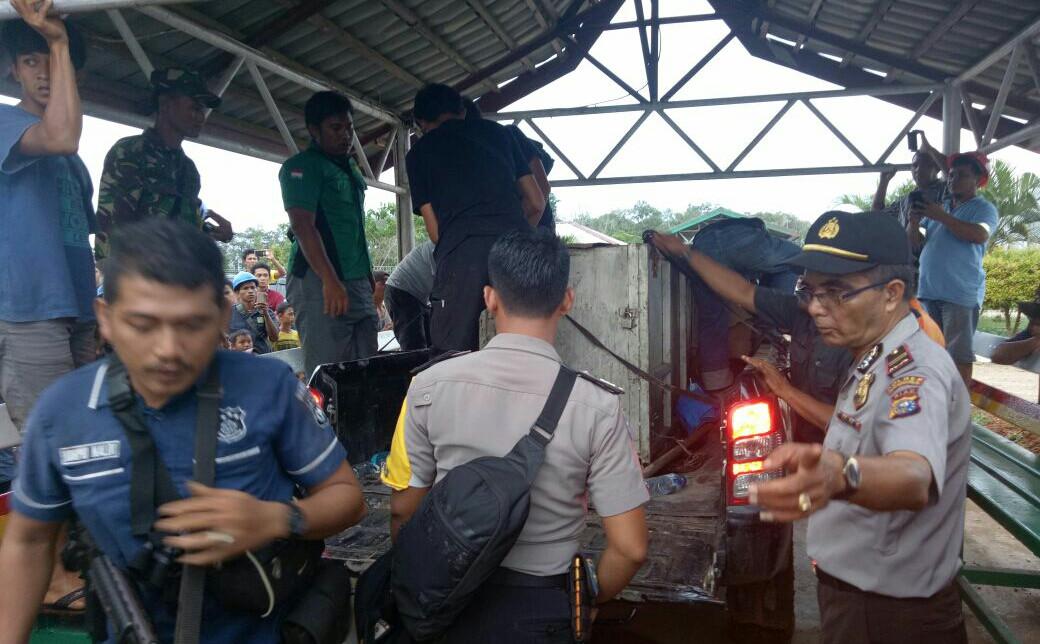 Seratus hari lebih tim mencoba menaklukkan Bonita, sang harimau Sumatera betina, yang semakin ganas usai menerkam dua karyawan. (Liputan6.com/M Syukur)