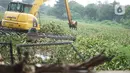 Petugas menggunakan alat berat untuk mengeruk eceng gondok yang memenuhi permukaan Setu Pengarengan, Depok, Jawa Barat, Senin (16/12/2019). Pengerukan dilakukan untuk membersihkan Setu Pengarengan dari eceng gondok yang tumbuh selama kurang lebih satu tahun terakhir. (Liputan6.com/Immanuel Antonius)