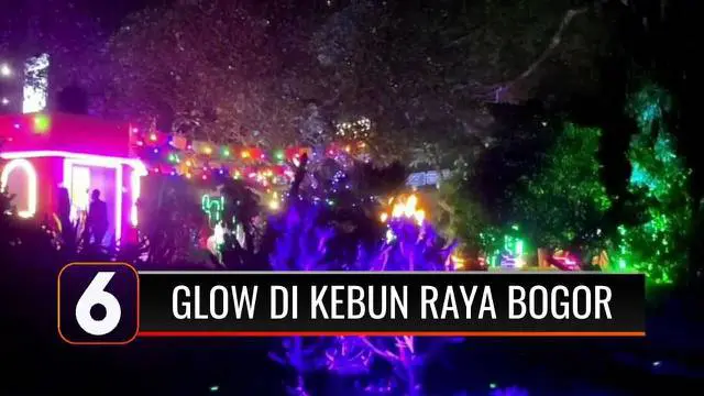 VIDEO: Inovasi Wahana Baru di Kebun Raya Bogor ‘Glow’ Menuai Pro-Kontra, Seperti Apa?