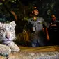 Seekor anak Harimau Benggala yang baru lahir di Jawa Timur Park II pada Maret 2016 silam (Zainul Arifin/Liputan6.com)