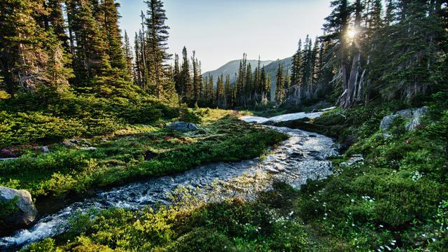Olympic National Park, Washington