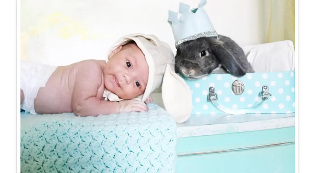 Foto bayi bersama hewan peliharaan