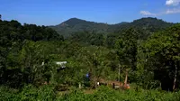 Cerita Anak Perambah Hutan dan Sekolah yang Dibakar