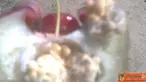 Citizen6, Lampung: Buah jambu air terdapat biji seperti jambu batu. (Pengirim: Soleh)