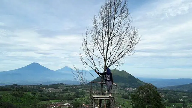 Bukit Harapan Cuntel