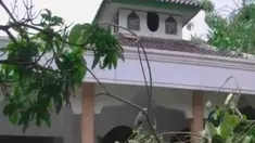 liputan6