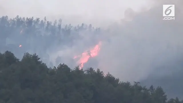 Kebakaran di Lereng Gunung Lawu sudah 4 hari belum bisa dipadamkan. Api telah membakar sedikitnya 25 hingga 30 hektar areal hutan