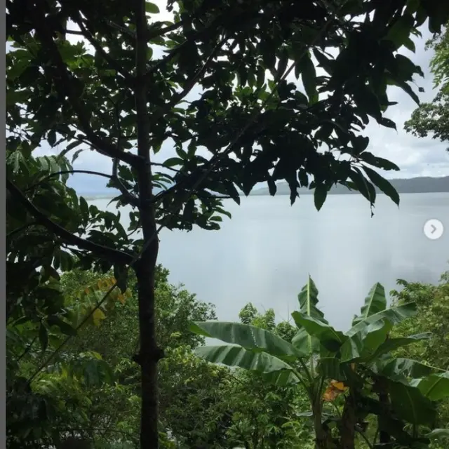 Mengenal Hutan Lembah Grime Nawa Papua, Rumahnya Burung Cendrawasih dan Tanaman yang Bisa Mengobati Penyakit Kulit