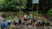 AdaKami Gelar Aksi Tanam 500 Pohon Bersama Komunitas Mangrove Jakarta.&nbsp; foto: istimewa