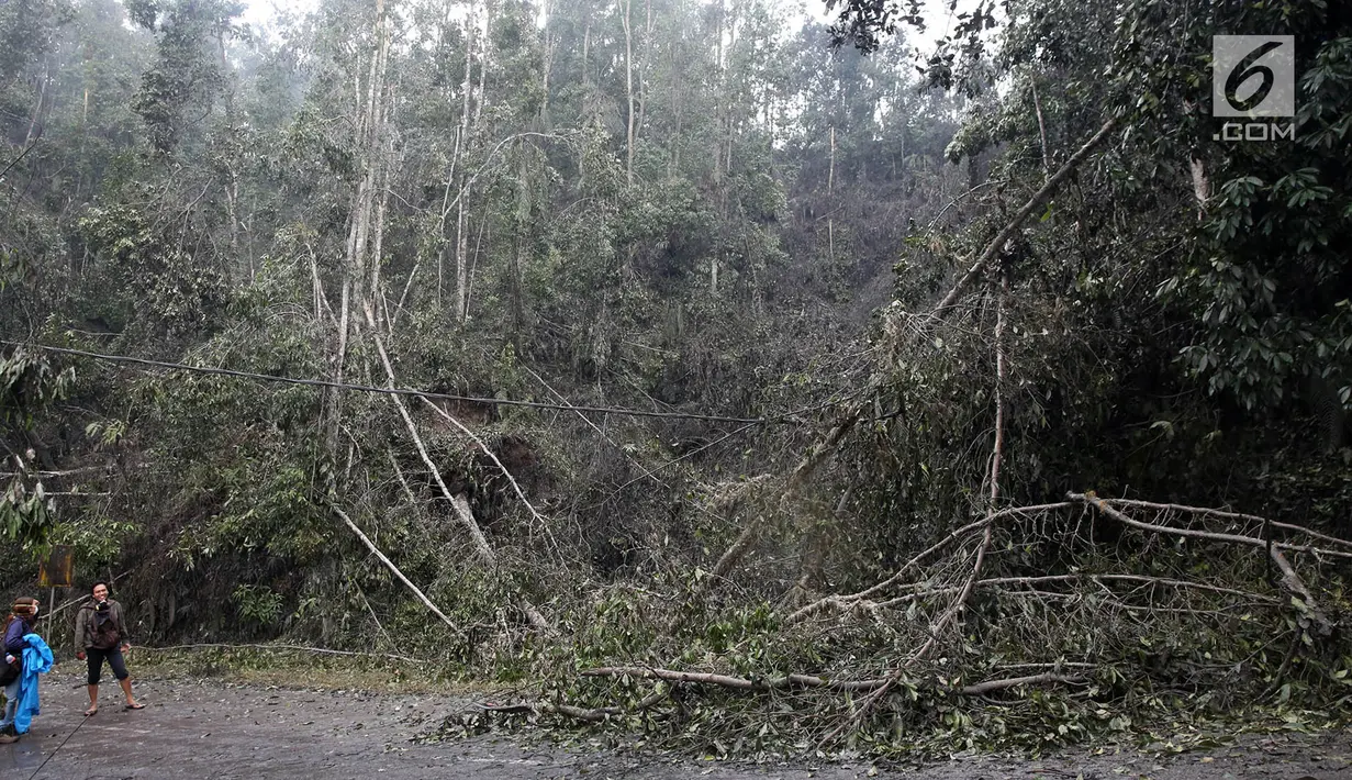 Akses jalan menuju Dusun Sogra yang dipenuhi pohon tumbang dan abu vulkanik di Desa Sebudi, Karangasem, Bali, Minggu (3/12). (Liputan6.com/Immanuel Antonius)