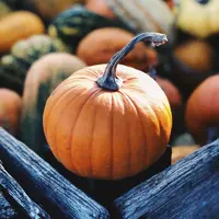 ilustrasi/copyright unsplash.com/Aaron Burden